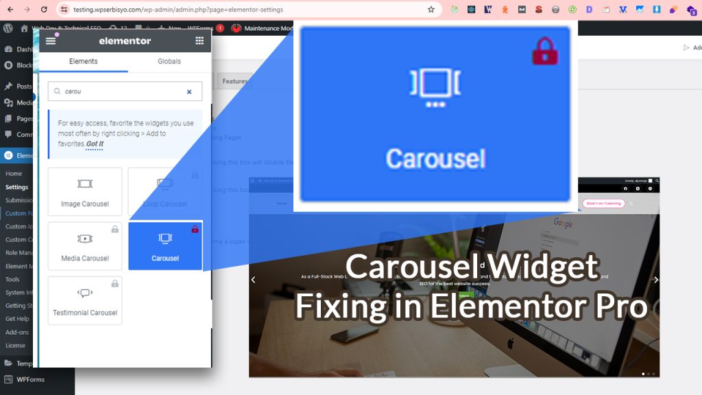 Carousel Widget not showing after activated the Elementor Pro version